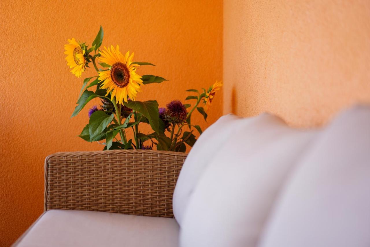 Apartamento Maslina & Lavanda Podstrana Exterior foto